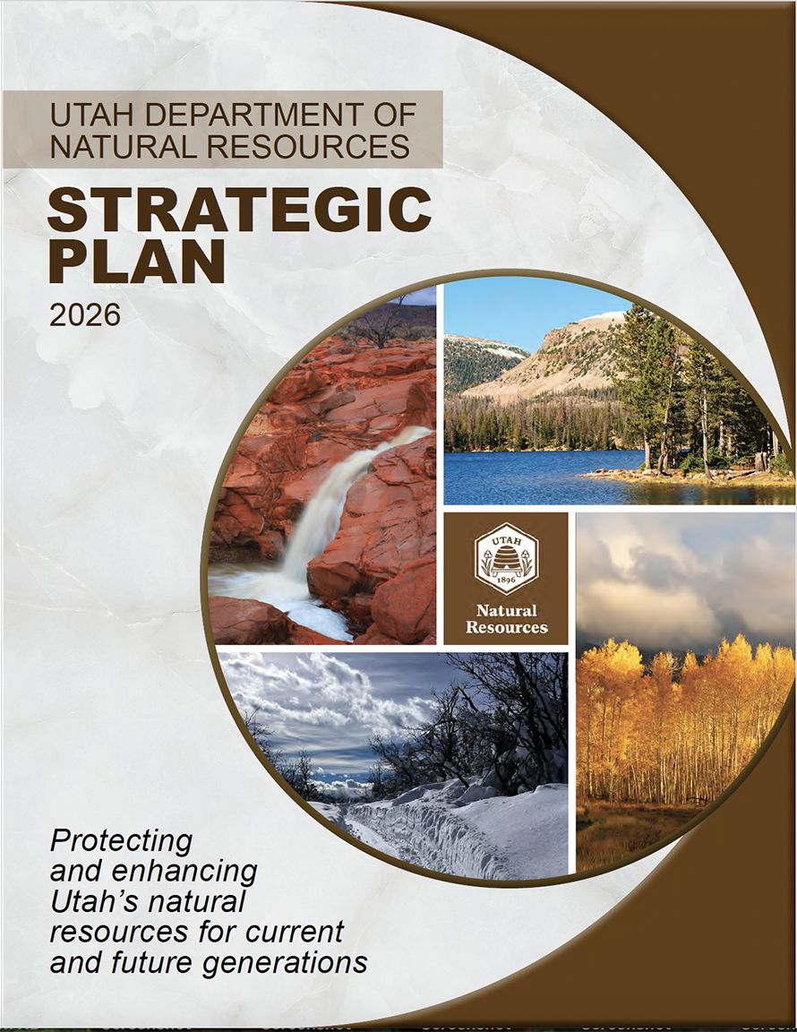 cover of the strategic plan