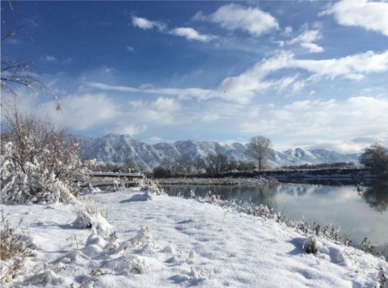 Bear river in the winter after a good snow fall