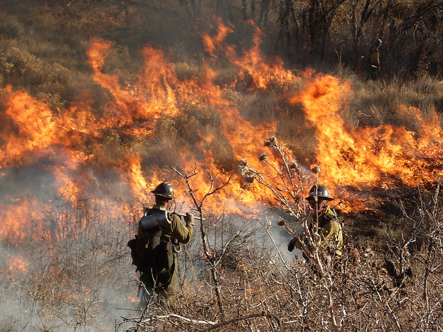 wilderness firefighters standing near a wild fire