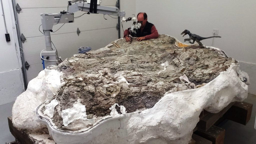 archeolosgist looking inside of a giant rock
