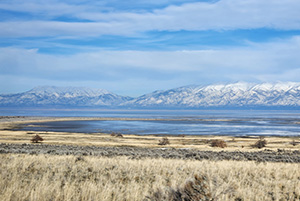 Featured image for New Great Salt Lake website serves as one-stop-shop