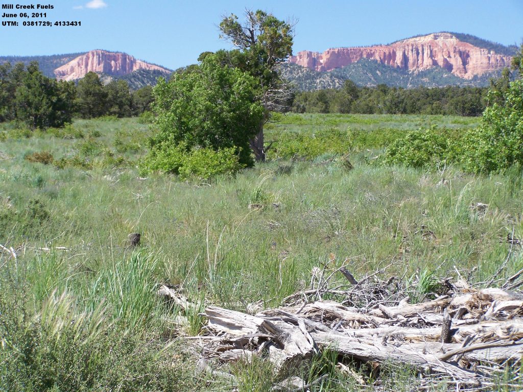 Utah’s Watershed Restoration Initiative Announces 2020 Projects Utah