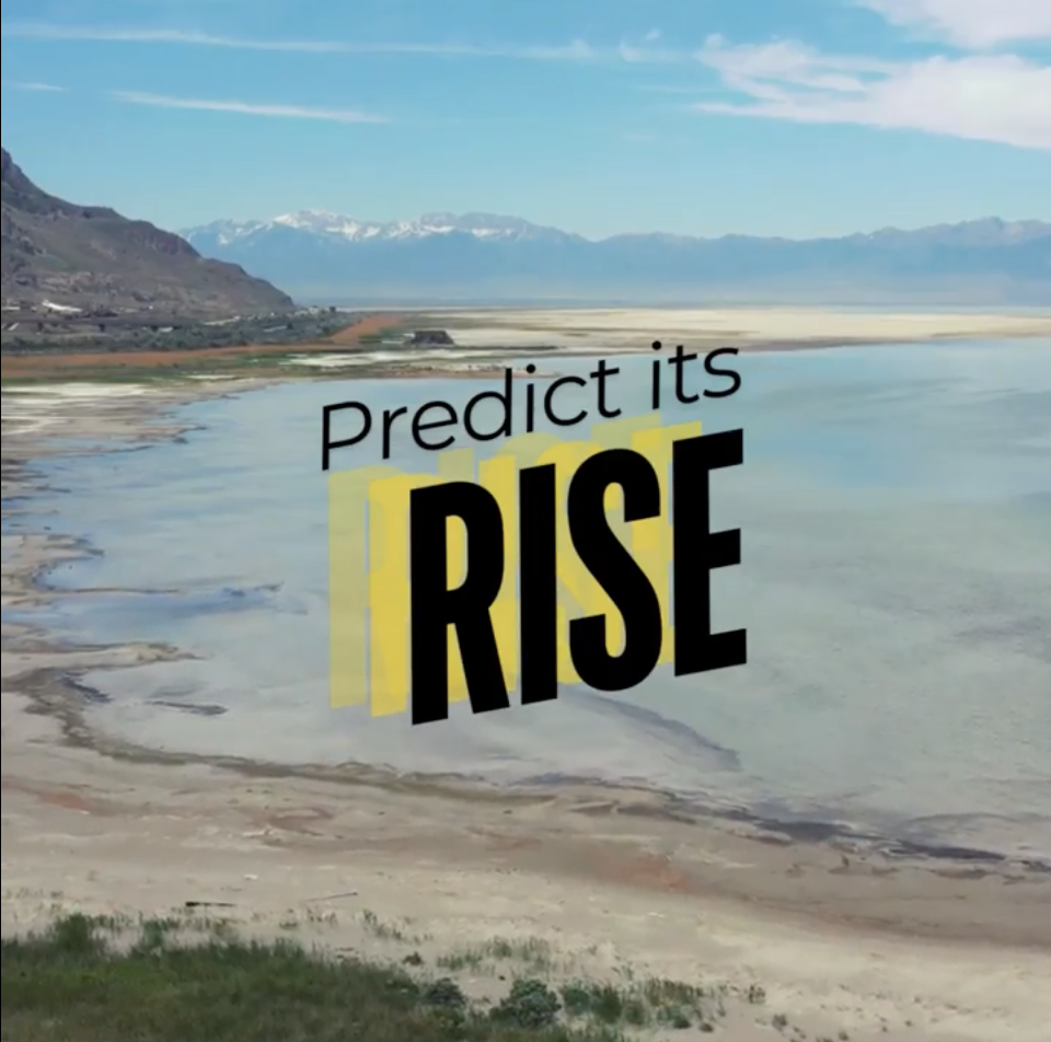 Featured image for Predict its rise, win a prize