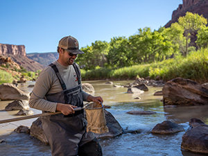 Person finding roundtail chub's to do surveys on in Moab